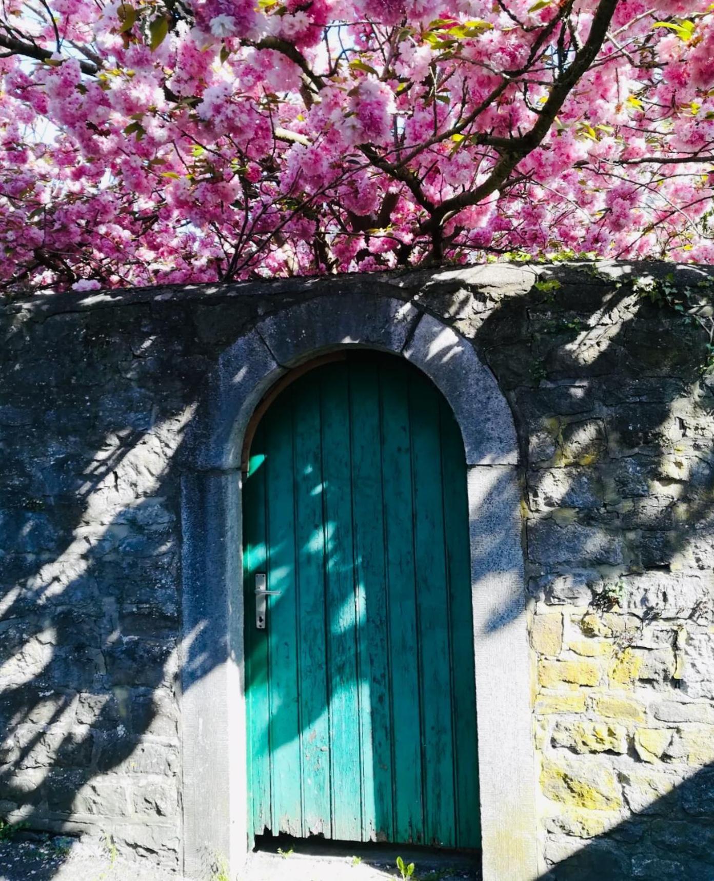 B&B La Ruelle Profondeville Extérieur photo